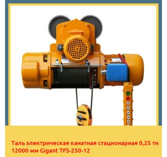 Таль электрическая канатная стационарная 0,25 тн 12000 мм Gigant TFS-250-12
