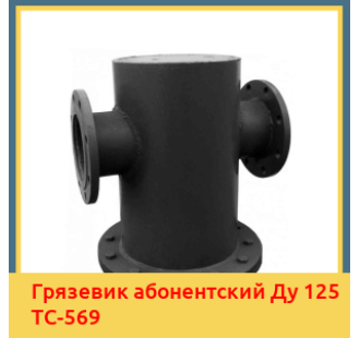 Грязевик абонентский Ду 125 ТС-569 в Ташкенте