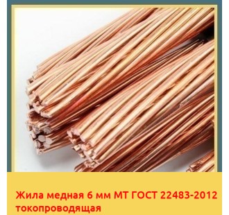 Жила медная 6 мм МТ ГОСТ 22483-2012 токопроводящая