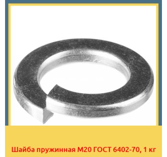 Шайба пружинная М20 ГОСТ 6402-70, 1 кг