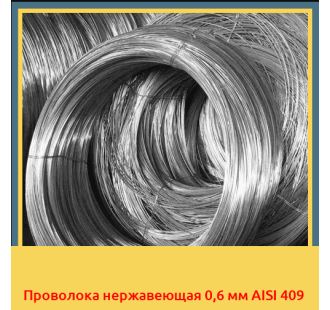 Проволока нержавеющая 0,6 мм AISI 409 в Ташкенте