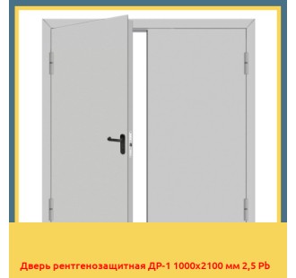 Дверь рентгенозащитная ДР-1 1000х2100 мм 2,5 Pb