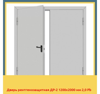 Дверь рентгенозащитная ДР-2 1200х2000 мм 2,0 Pb в Ташкенте