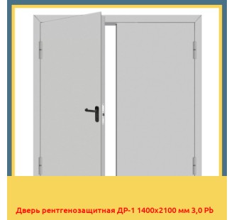 Дверь рентгенозащитная ДР-1 1400х2100 мм 3,0 Pb