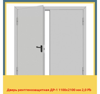 Дверь рентгенозащитная ДР-1 1100х2100 мм 2,0 Pb