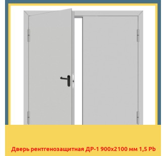 Дверь рентгенозащитная ДР-1 900х2100 мм 1,5 Pb