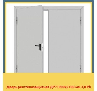 Дверь рентгенозащитная ДР-1 900х2100 мм 3,0 Pb