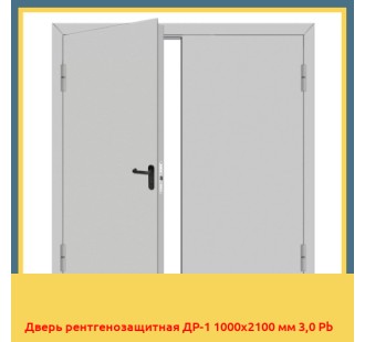 Дверь рентгенозащитная ДР-1 1000х2100 мм 3,0 Pb