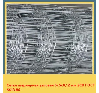 Сетка шарнирная узловая 5х5х0,12 мм 2СК ГОСТ 6613-86 в Ташкенте