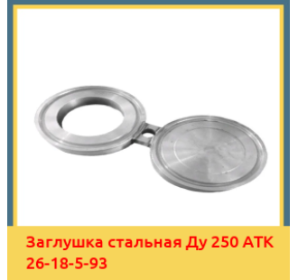 Заглушка стальная Ду 250 АТК 26-18-5-93 в Ташкенте